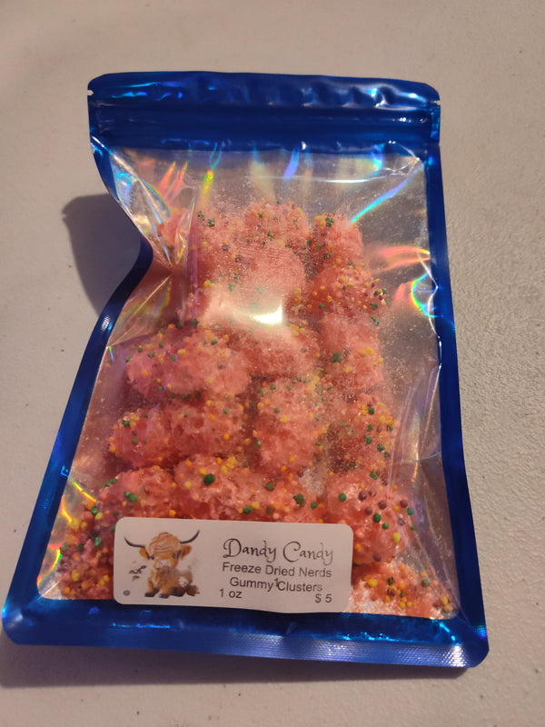 Freeze Dried Rainbow Gummy Nerd Clusters